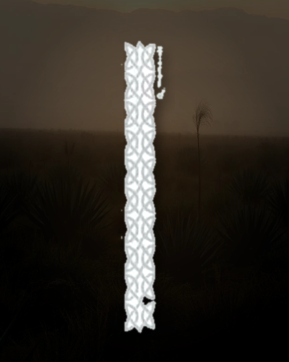 EC Charro Silver bottle