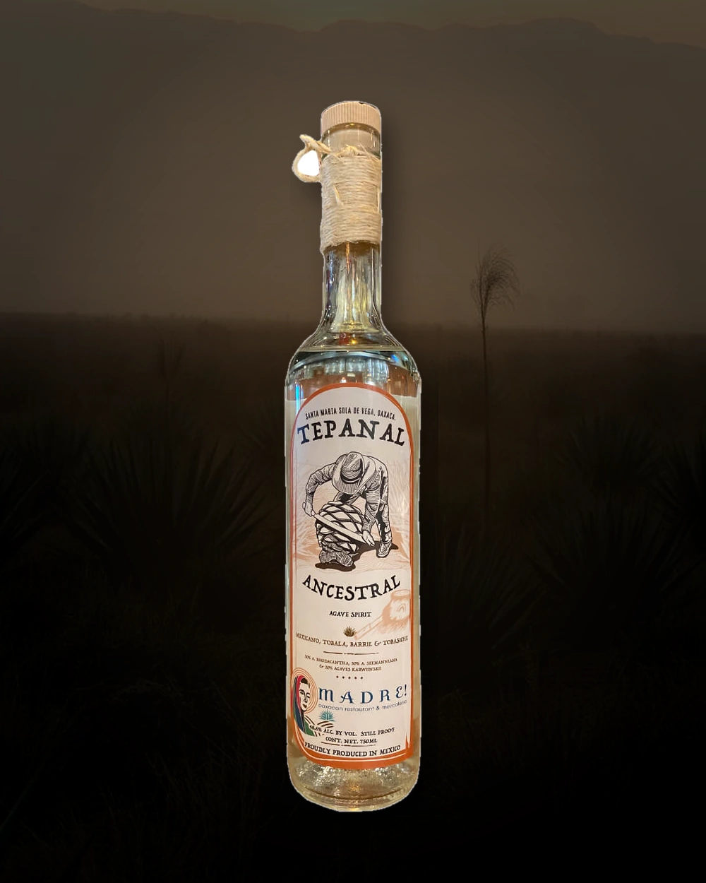 Tepanal Mexicano, Tobala, Barril, Tobasiche
