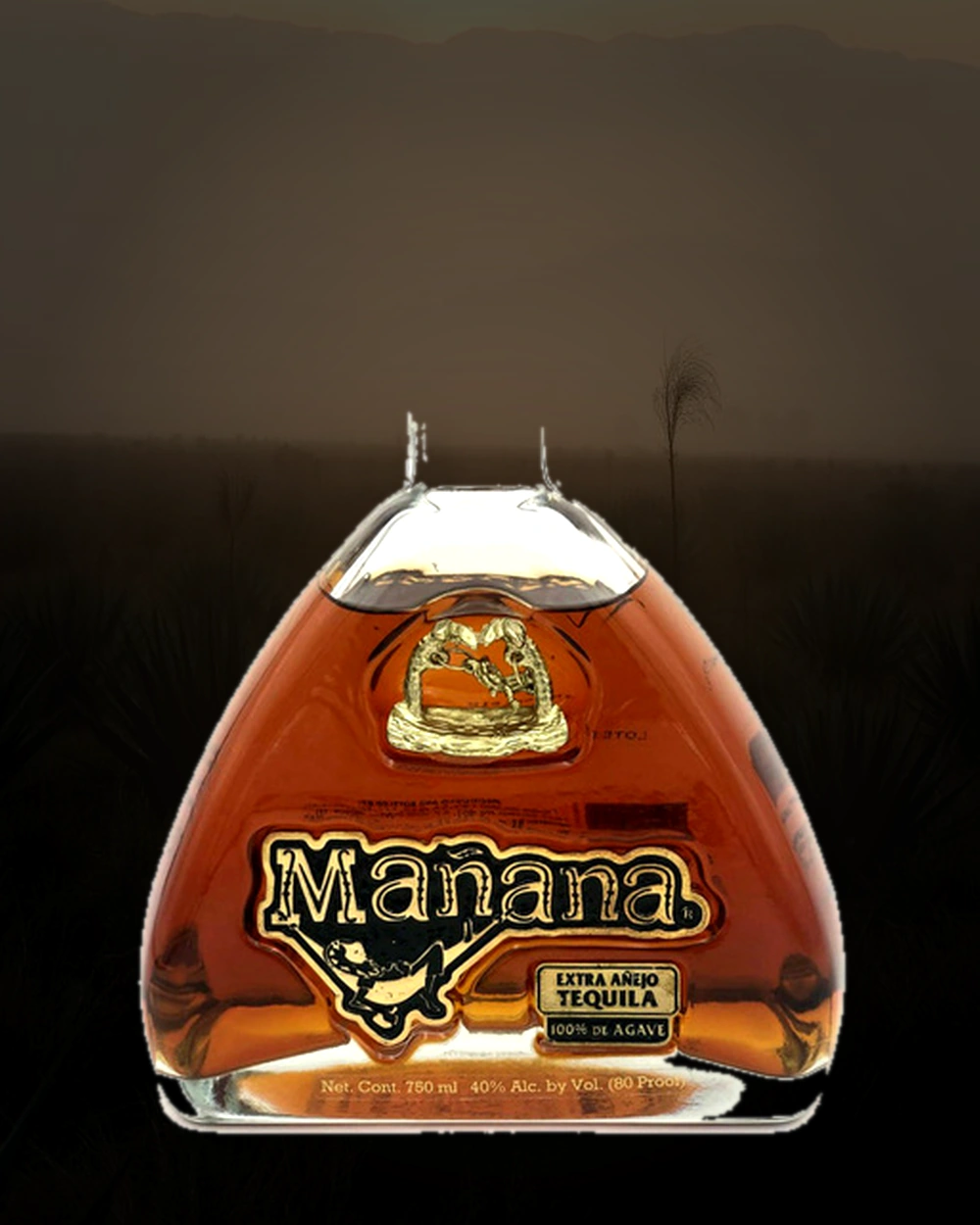 Mañana Extra Añejo bottle