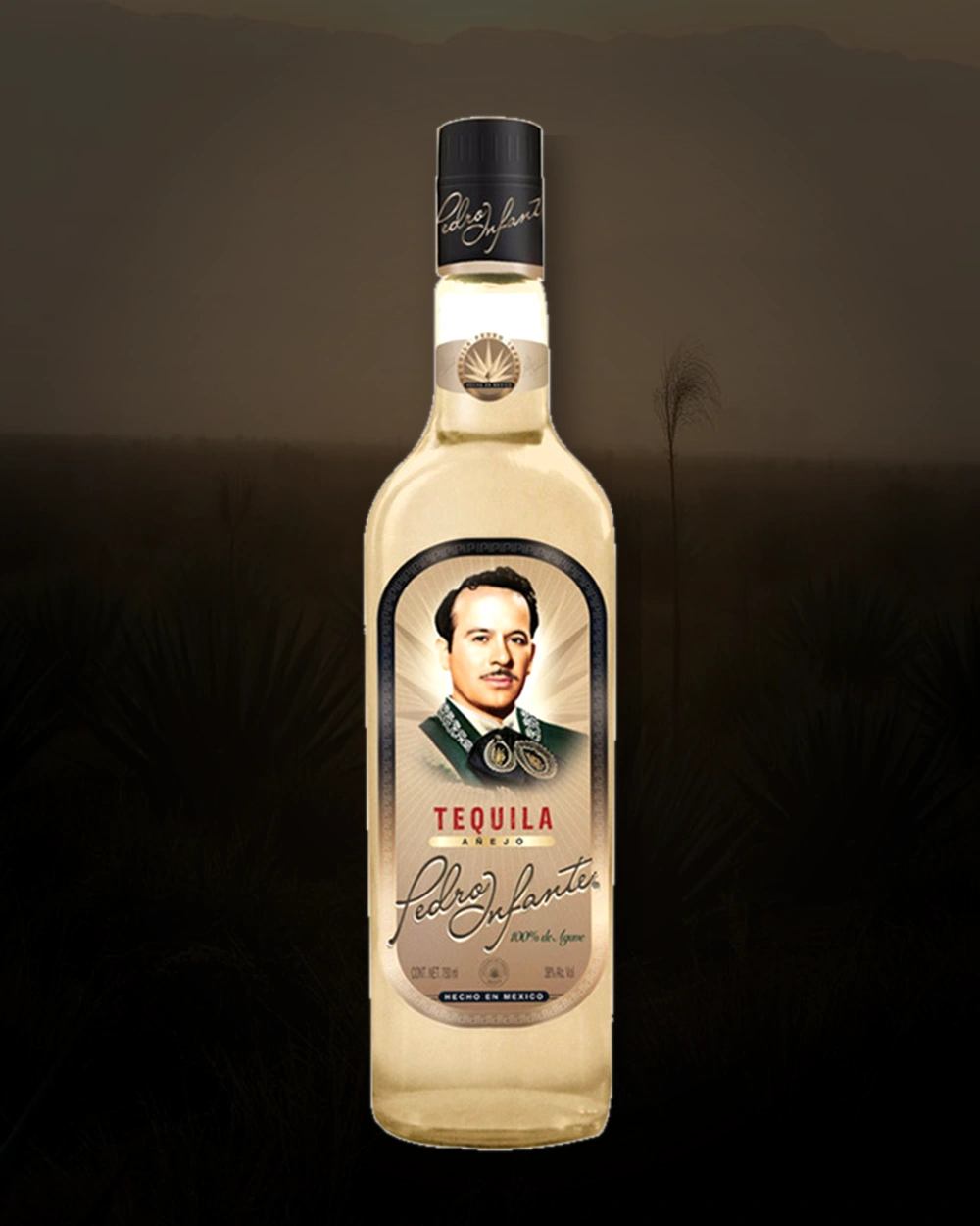 Tequila Pedro Infante Añejo bottle