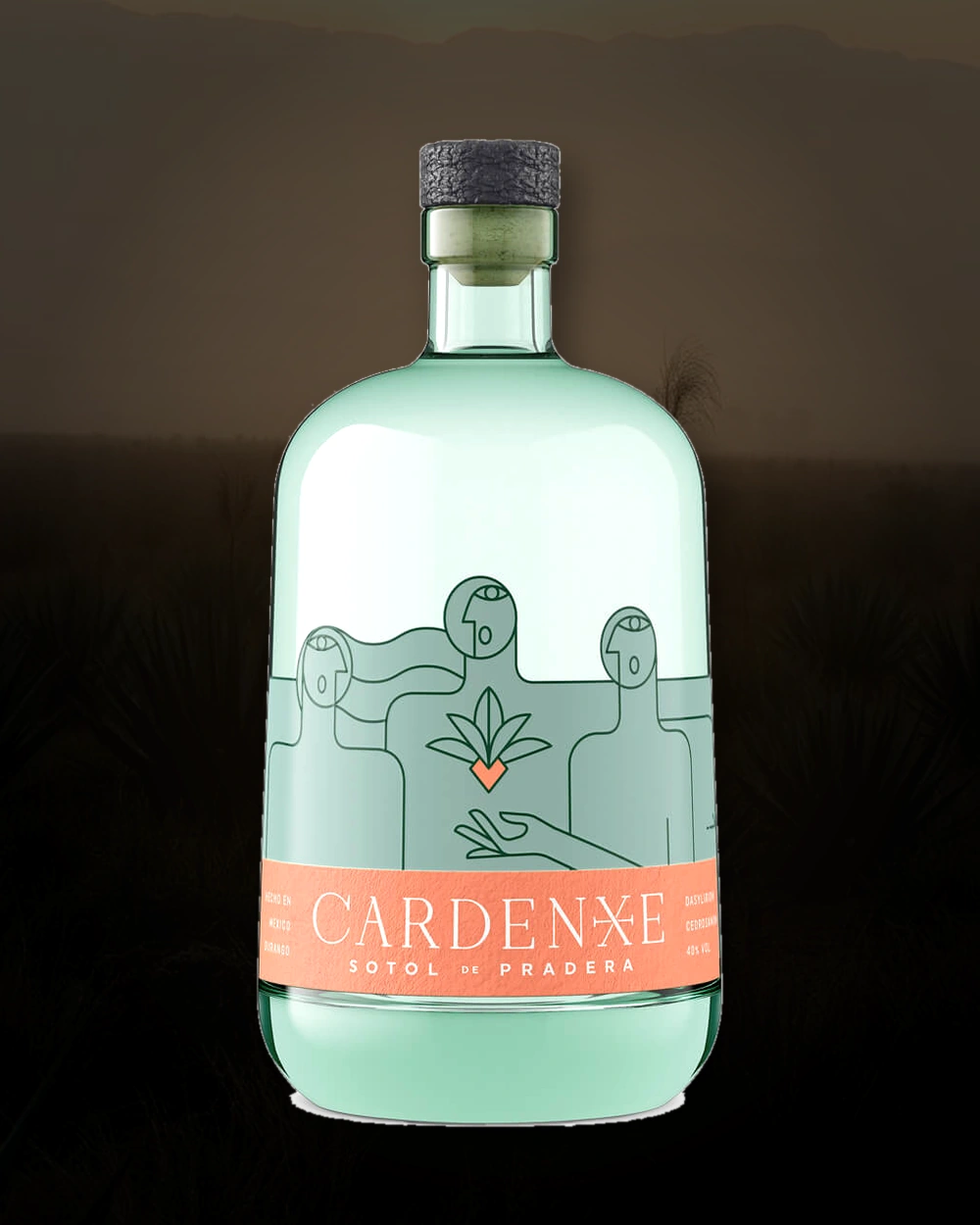 Cardenxe Sotol de Pradera bottle