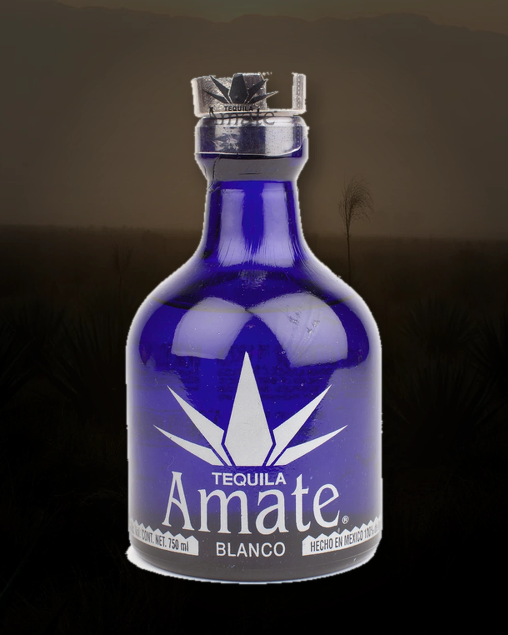 Amate Silver bottle