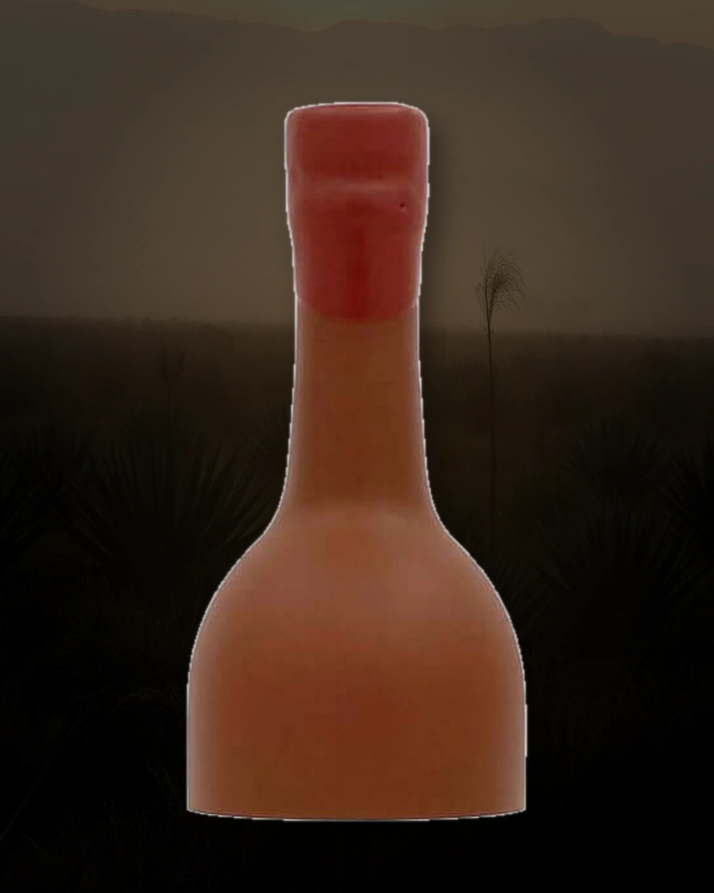 El Jolgorio Ancestral Arroqueño bottle