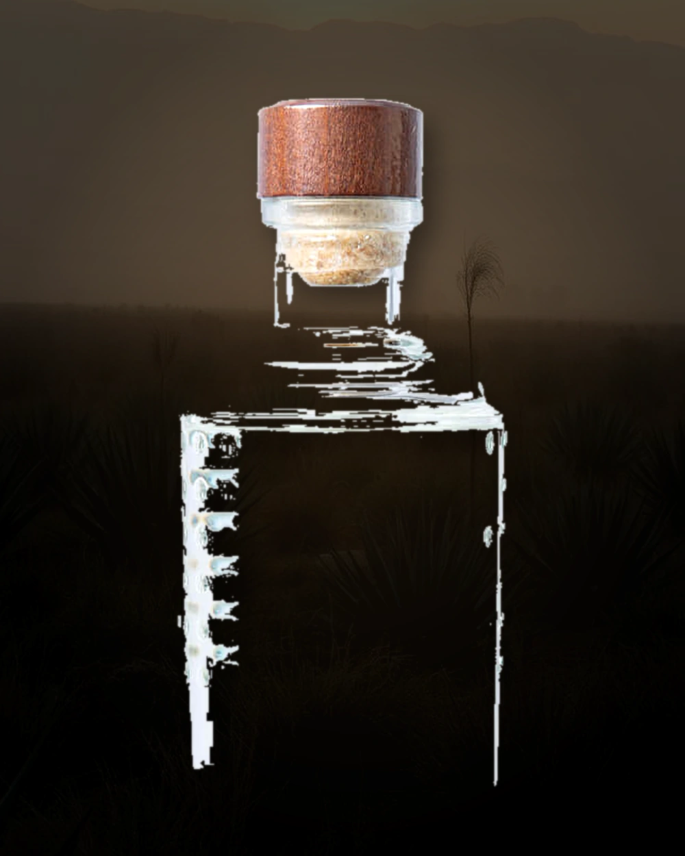 Carreño Ensamble 7 bottle