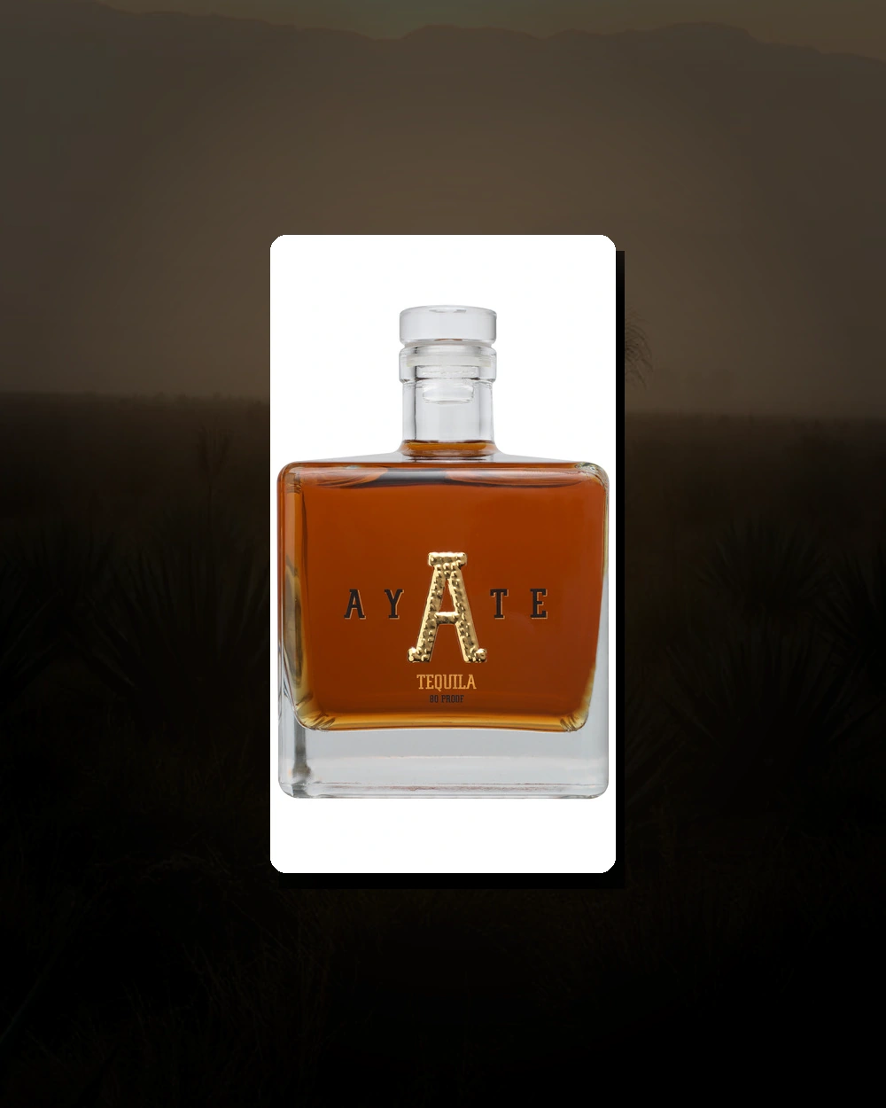 Ayate Añejo bottle