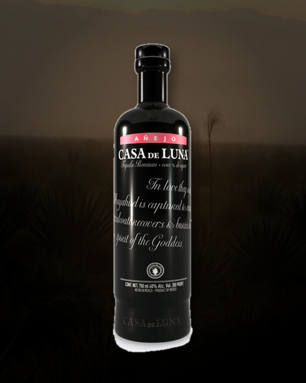 Casa de Luna Añejo bottle
