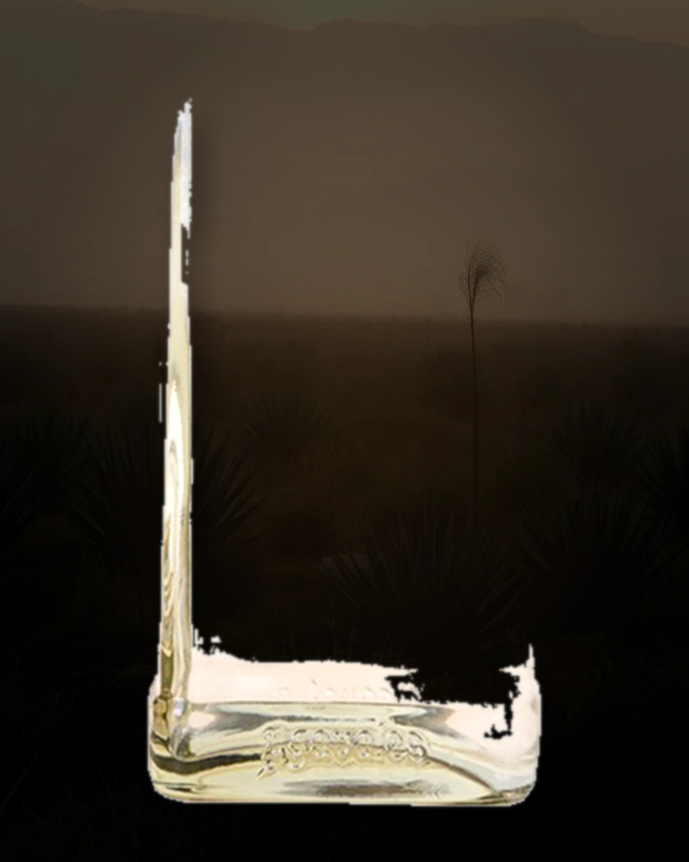 Agavales Blanco Tequila bottle
