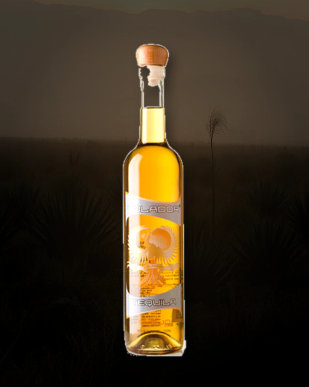 Volador Añejo bottle