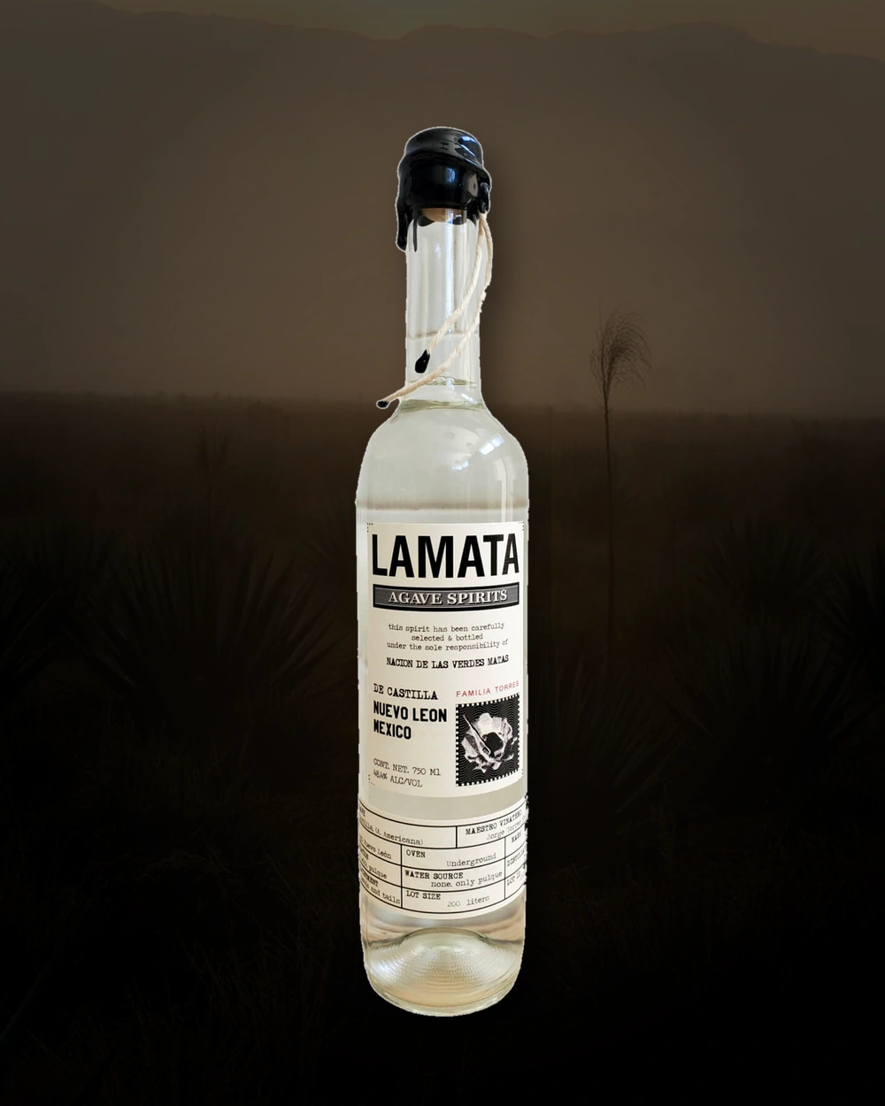 Lamata De Castilla Nuevo León bottle