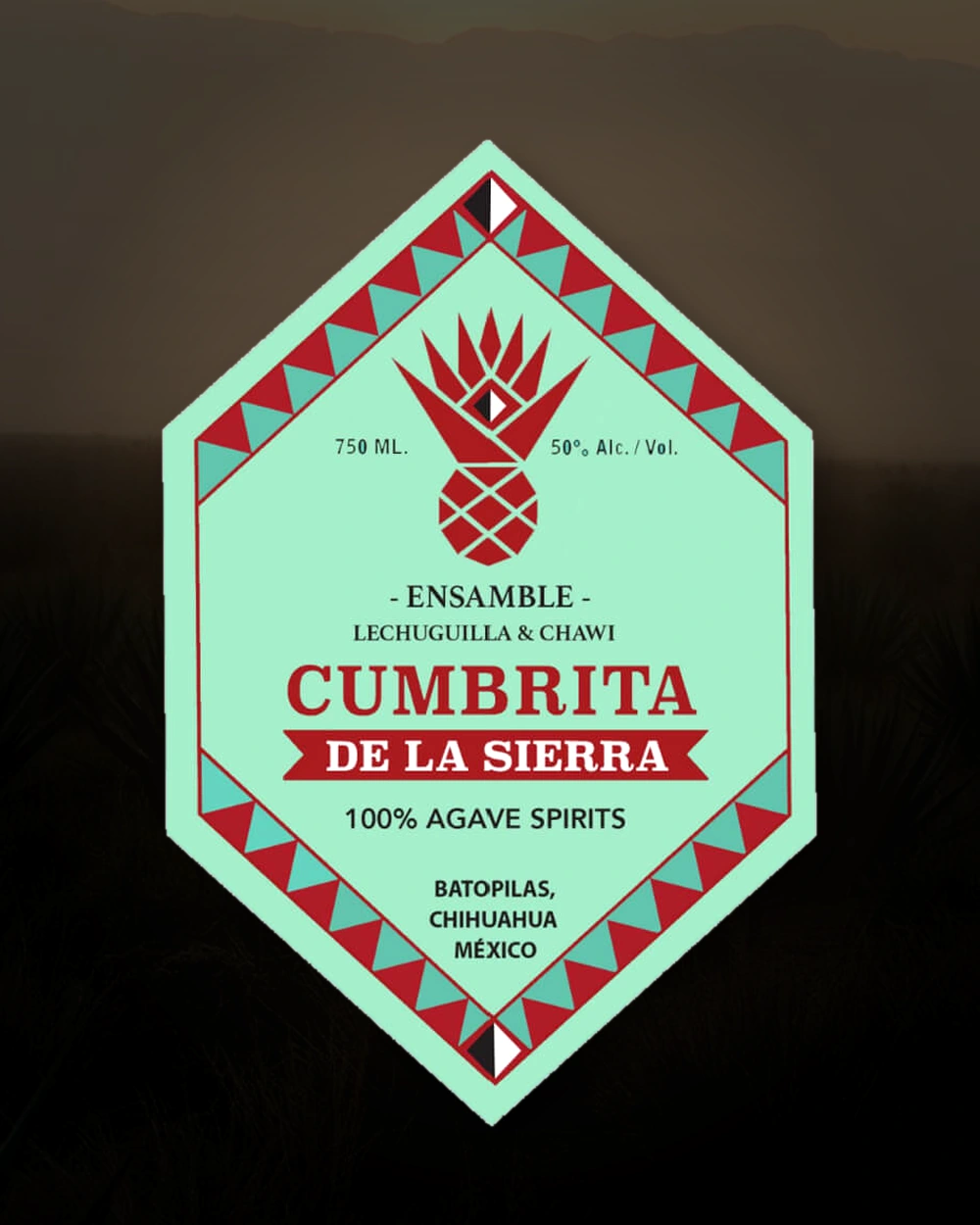 Cumbrita Lechuguilla / Chawi – Dolores Gonzales Torres