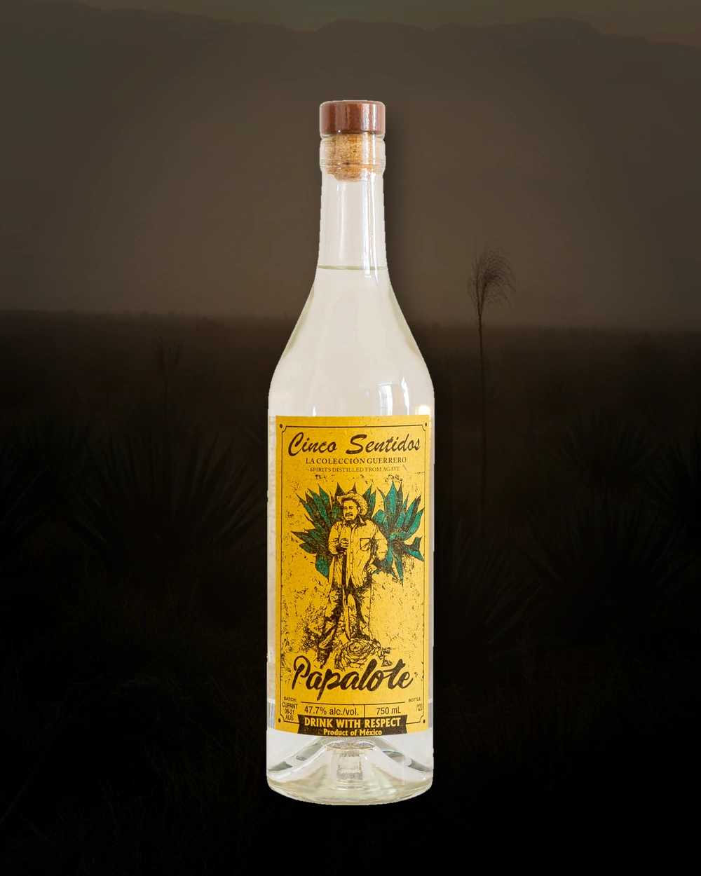 Cinco Sentidos Papalote – Sonido bottle