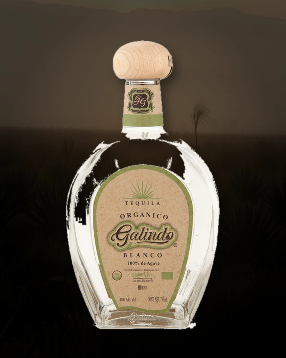 Galindo Blanco Organico bottle