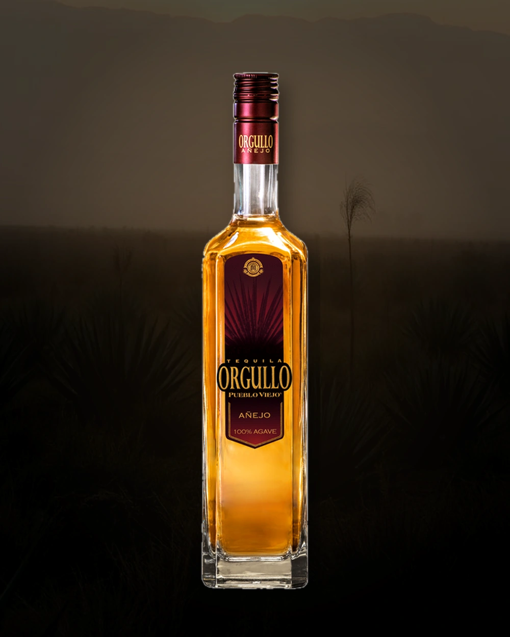 Orgullo Pueblo Viejo Añejo bottle