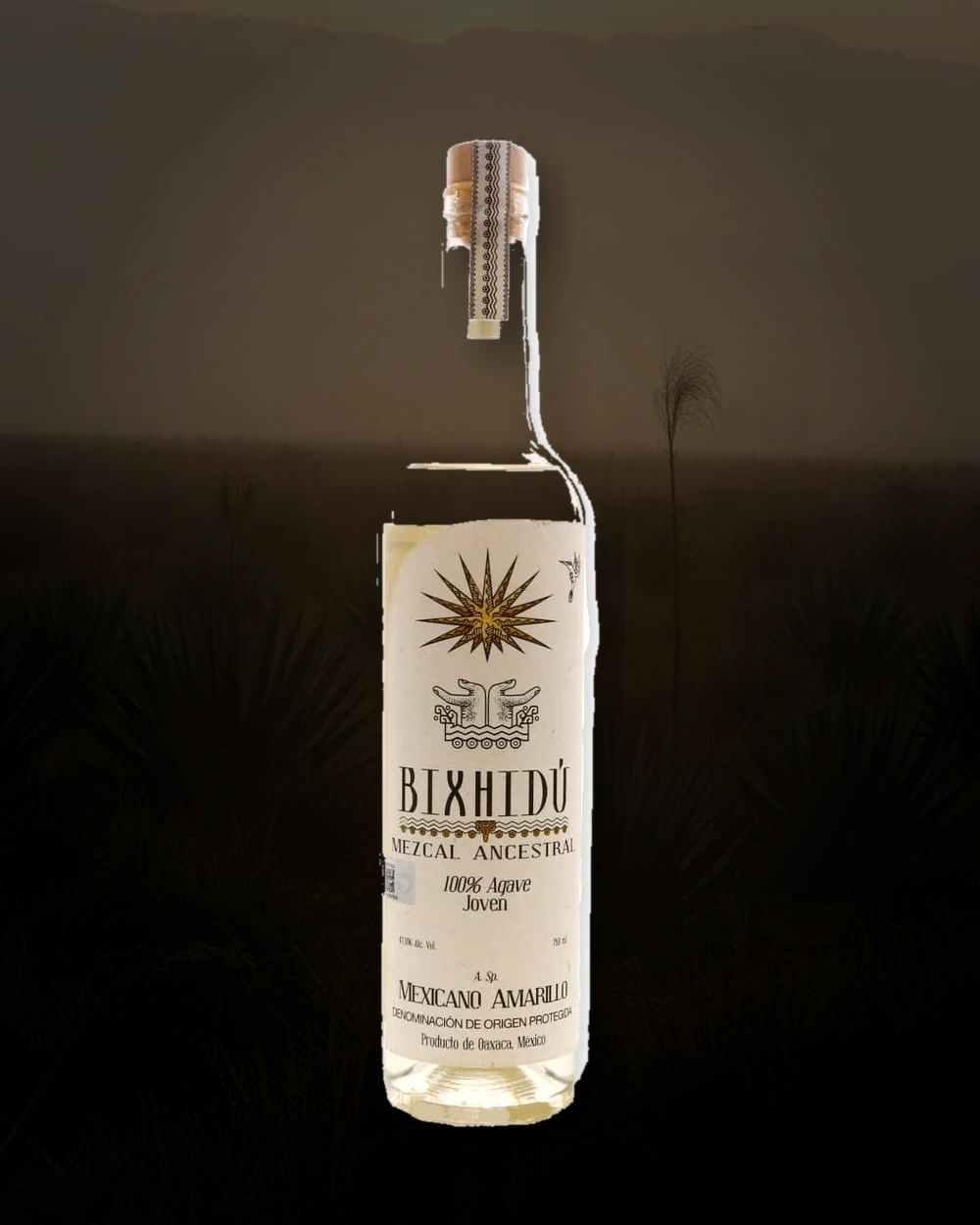 Bixhidú Espadin – Gerardo Silva Rios bottle