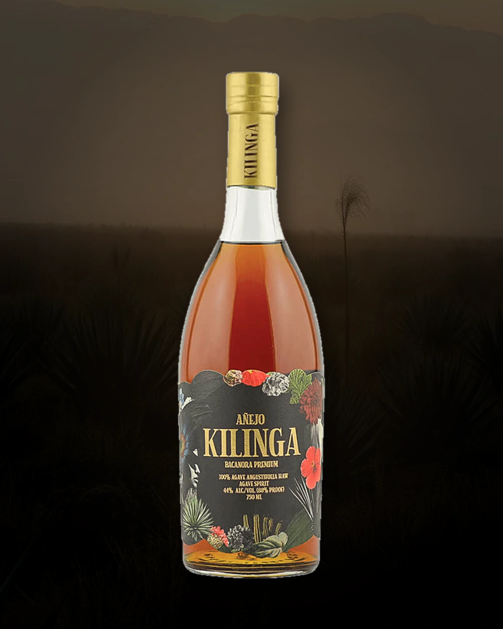 Kilinga Bacanora Añejo bottle