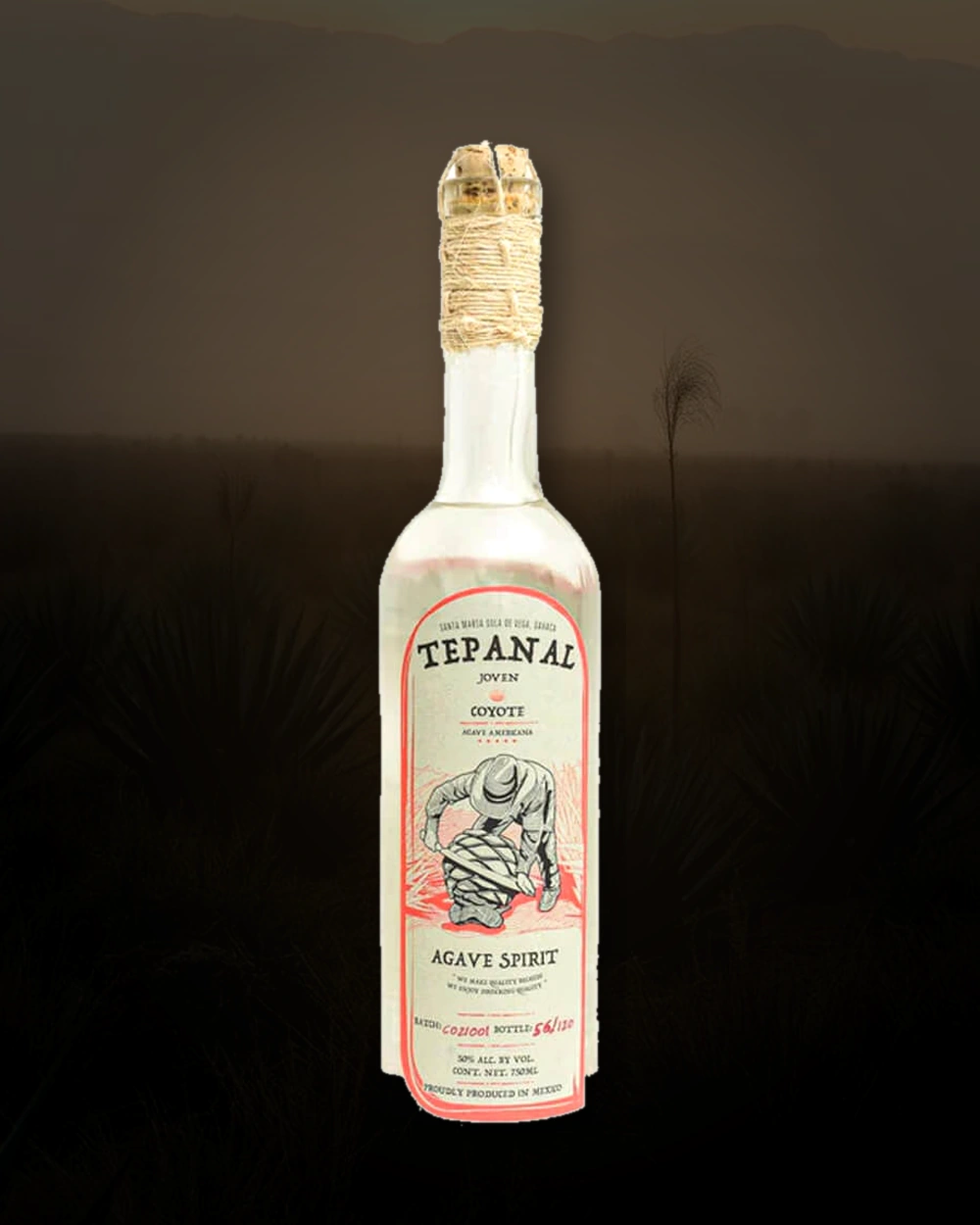 Tepanal Coyote bottle