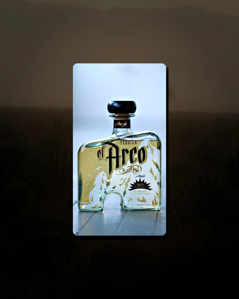 El Arco Añejo bottle