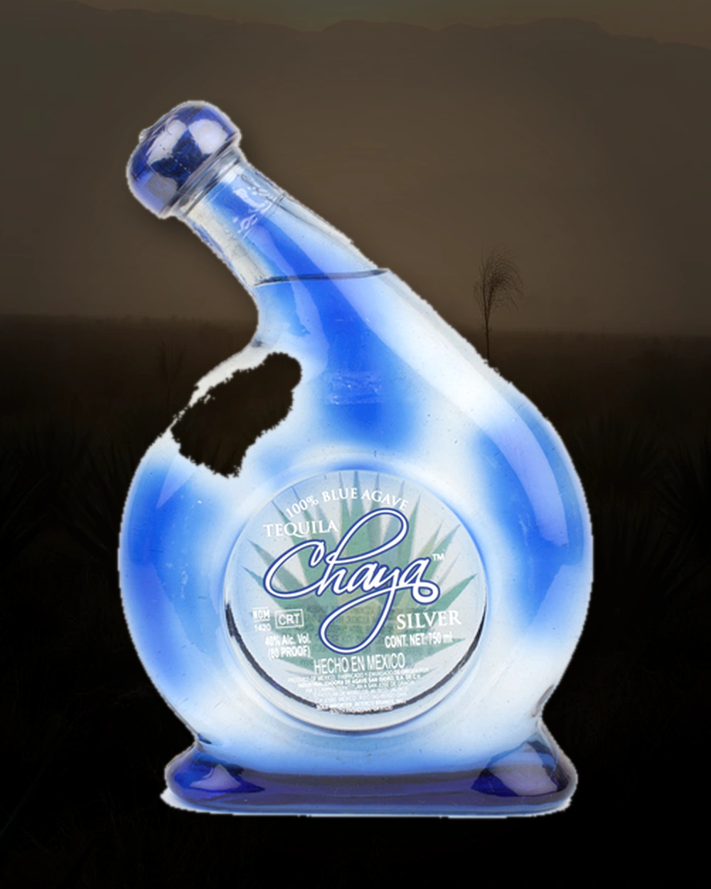 Chaya Silver bottle