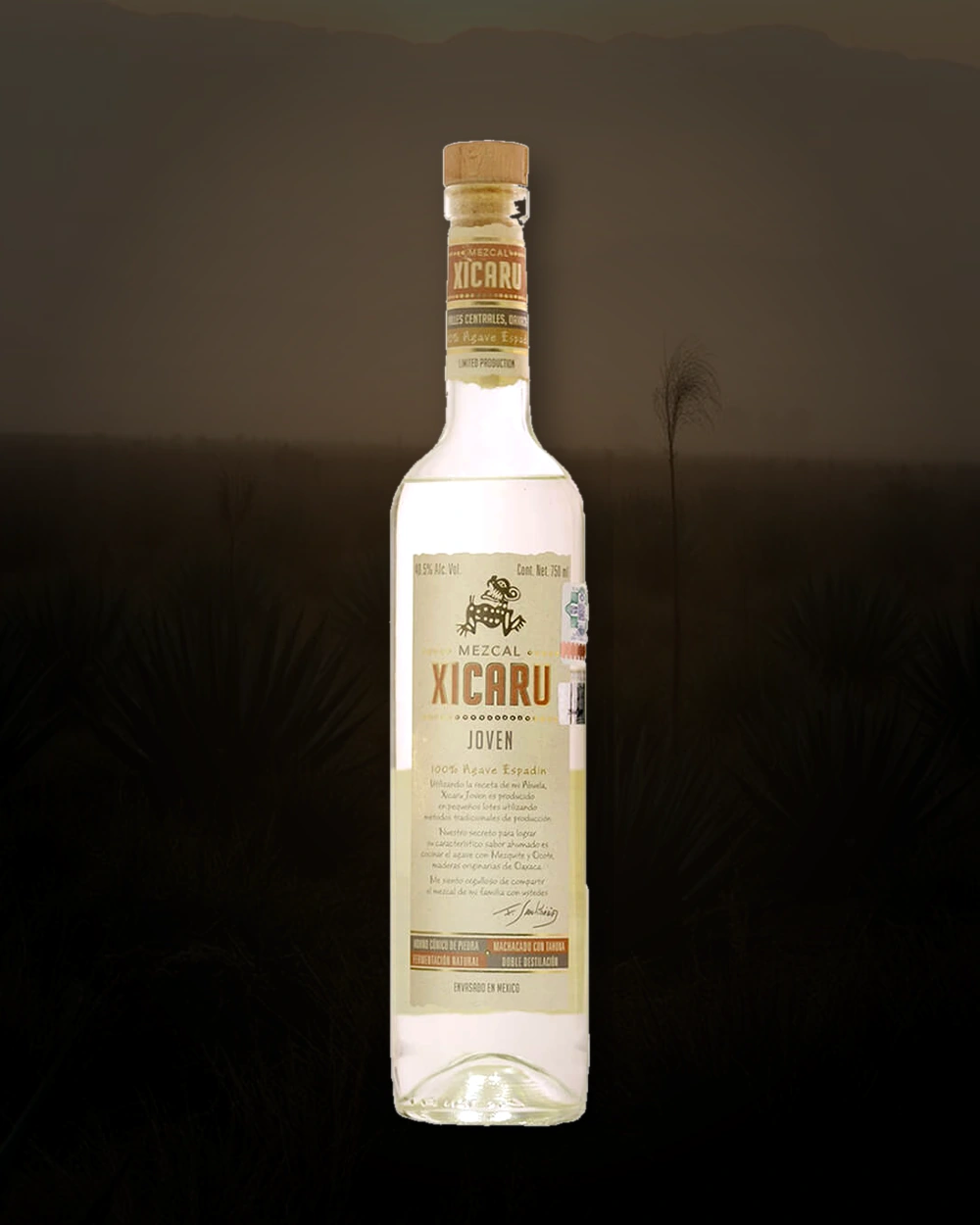 Xicaru Silver bottle