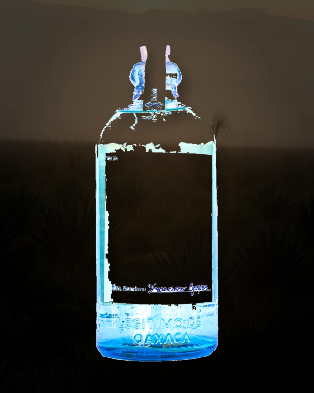 Cuish Tepeztate – Fransisco Gaspar bottle