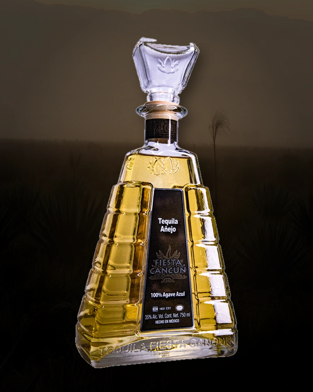 Fiesta Cancun Tequila Añejo bottle