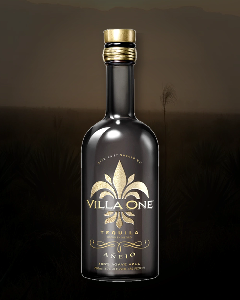 Villa One Tequila Añejo bottle
