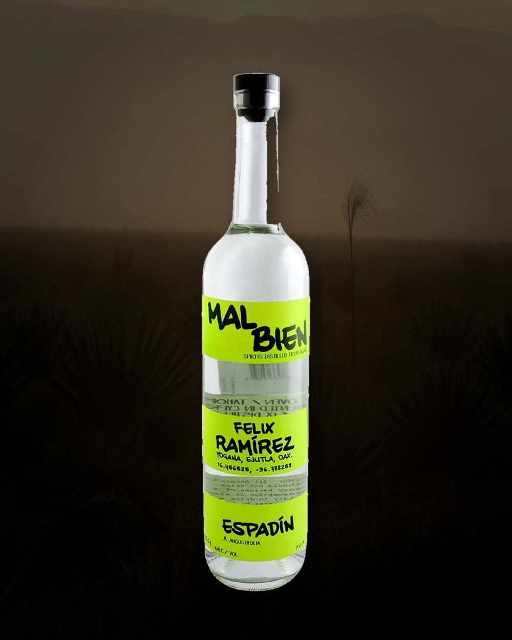 Mal Bien Espadin – Félix Ramírez bottle