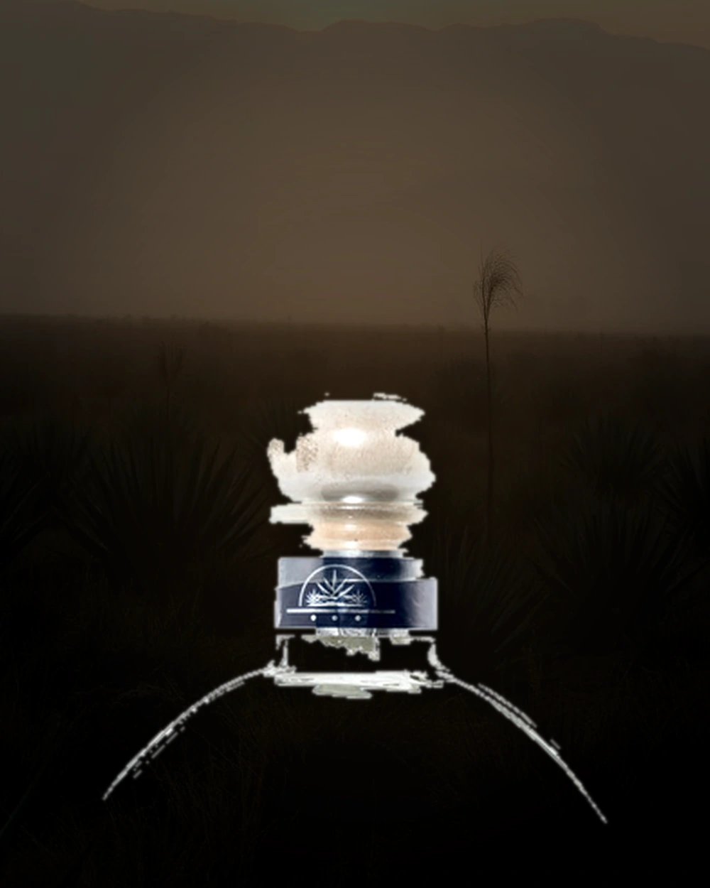 La Cava del Mayoral Blanco bottle