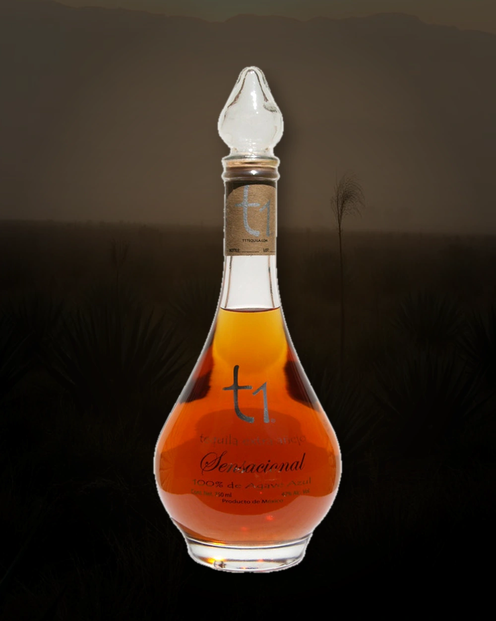 T1 Sensacional Extra Añejo bottle