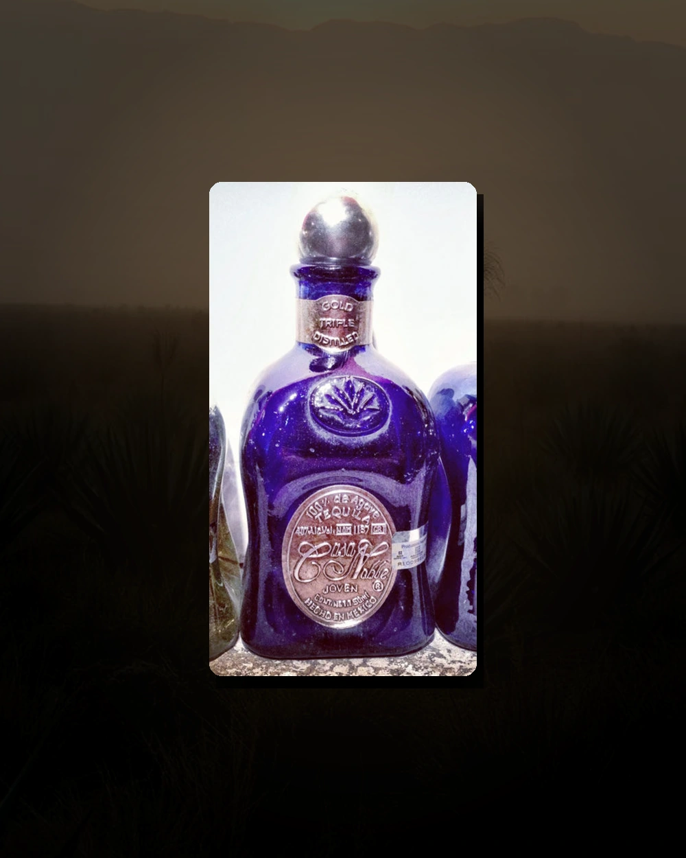 Casa Noble Gold bottle