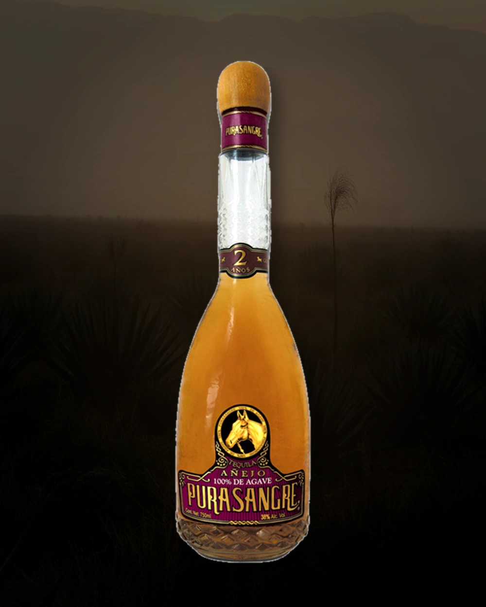 Purasangre Añejo Gran Reserva (2 yr) bottle