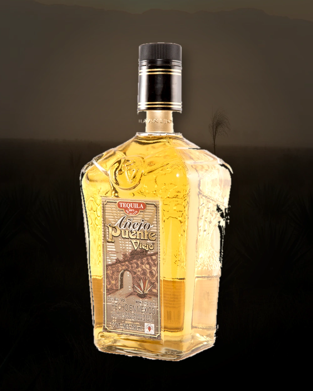 Puente Viejo Añejo bottle