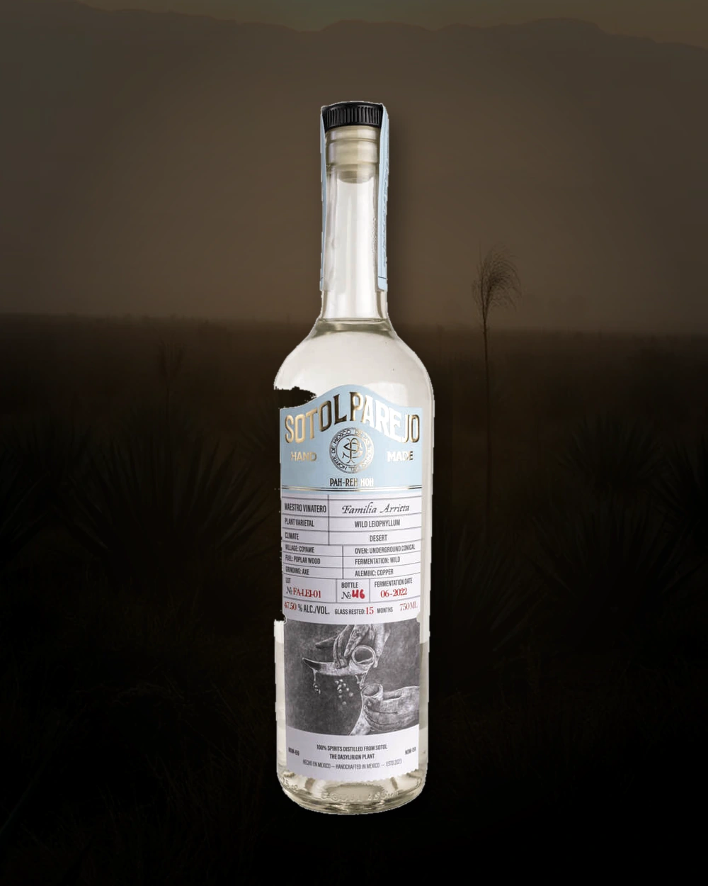 Sotol Parejo Leiophyllum – Familia Arrieta bottle