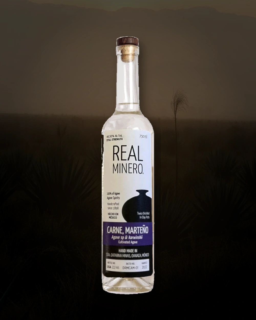 Real Minero Carne, Marteño bottle