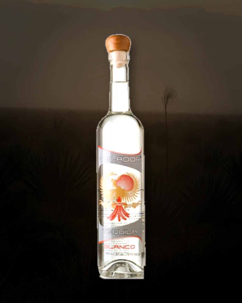 Volador Blanco bottle