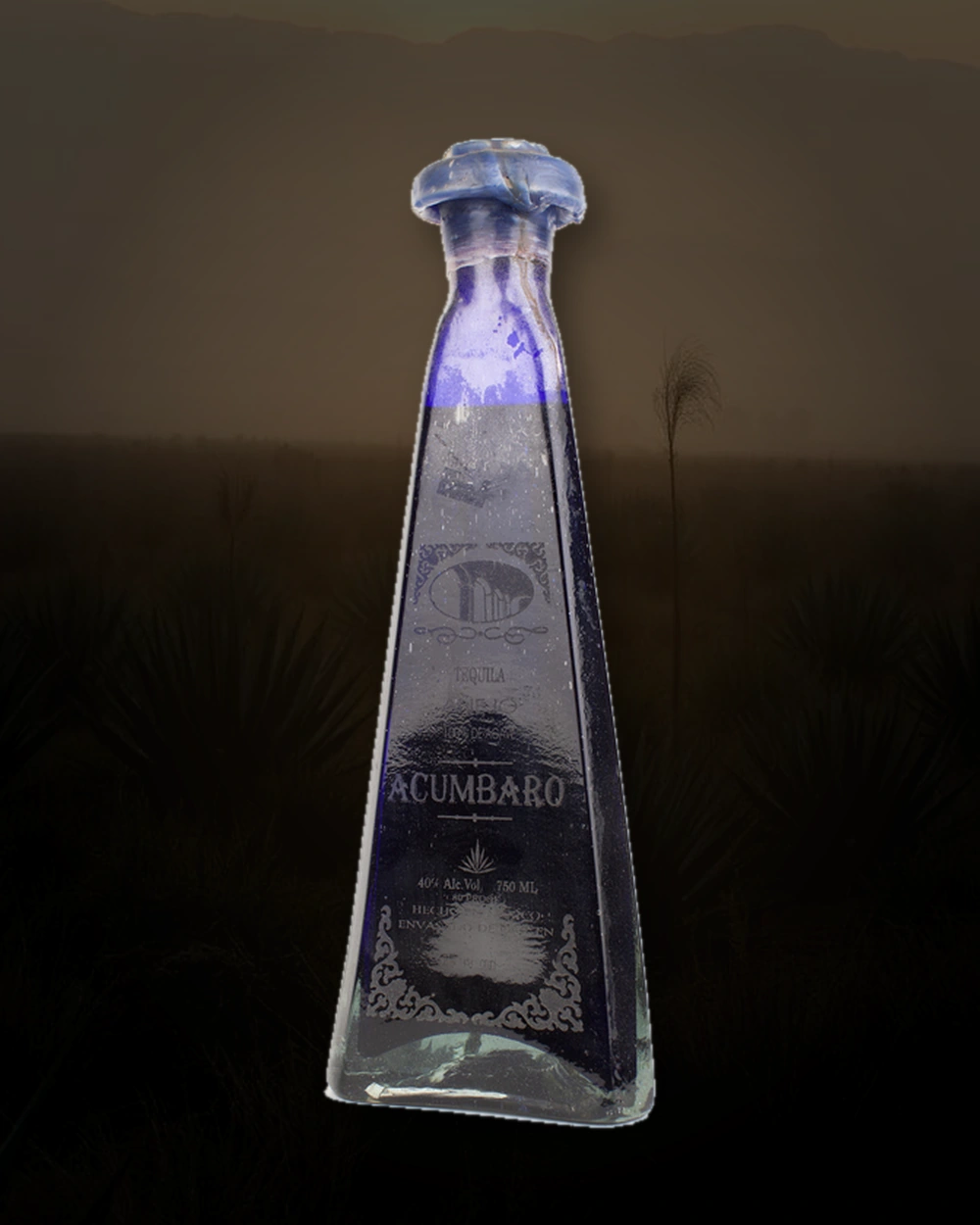 Acumbaro Añejo bottle