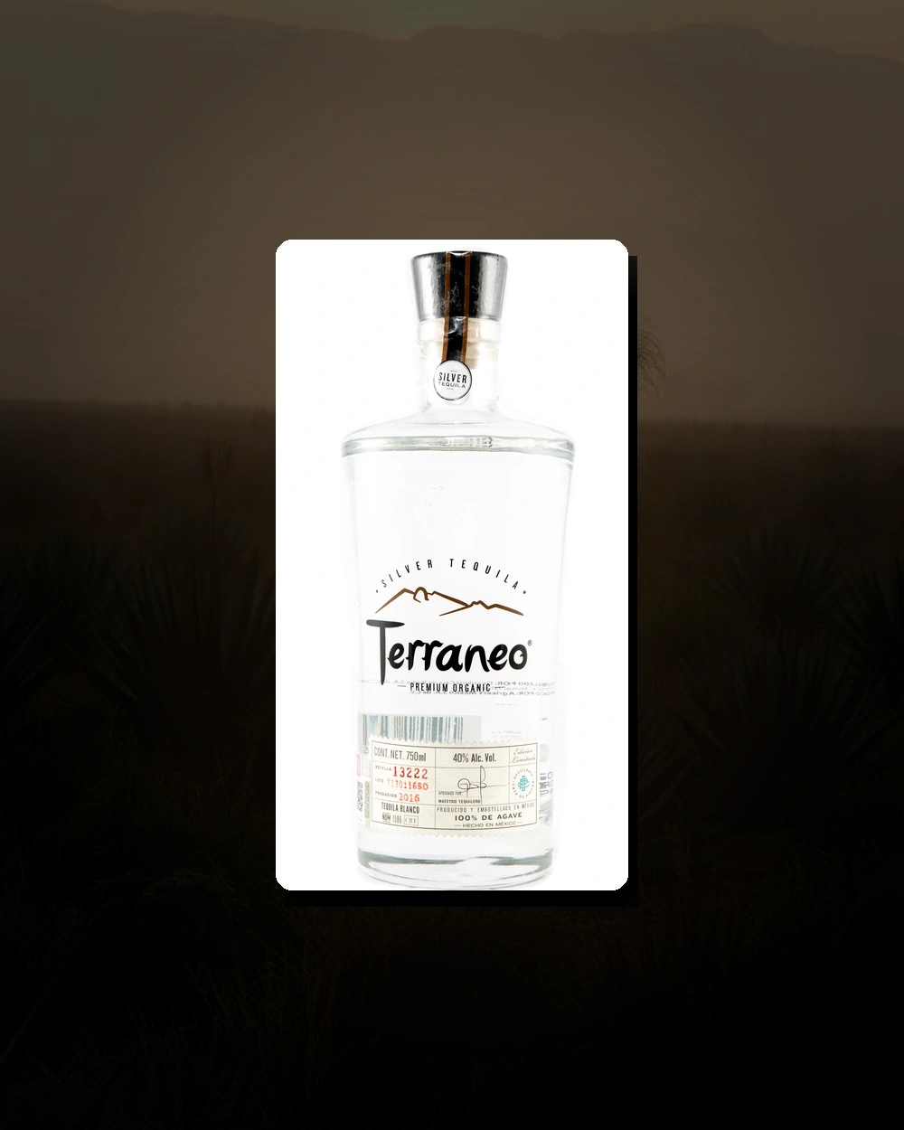 Terraneo Silver bottle
