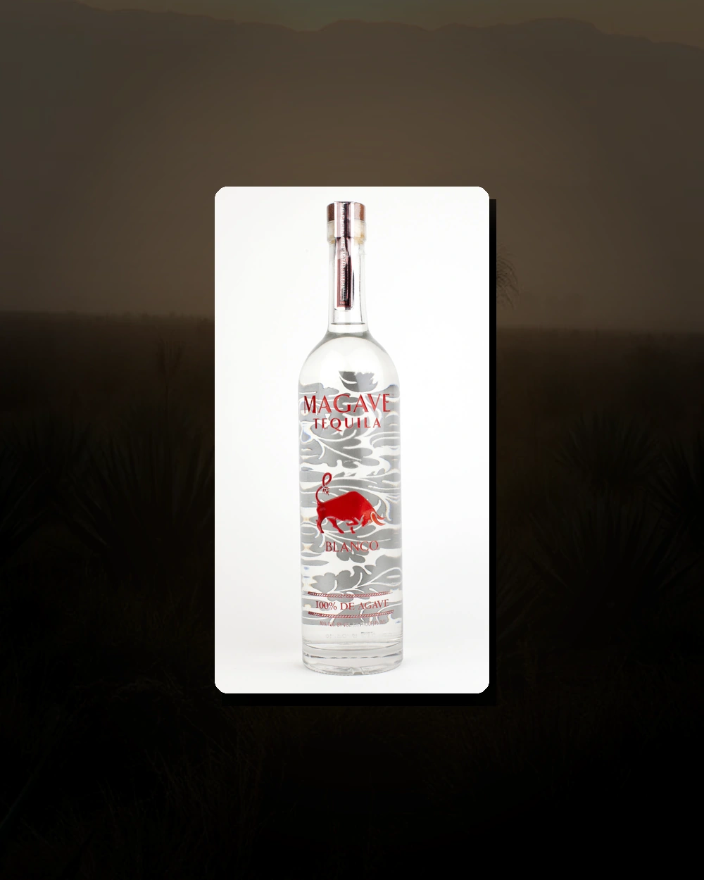 Magave Blanco bottle