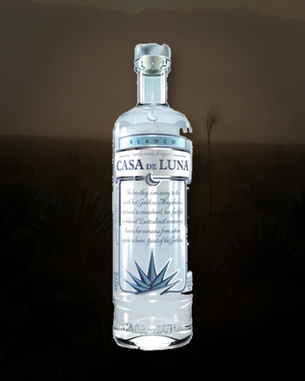Casa de Luna Blanco bottle
