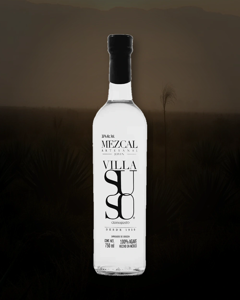 Villasuso Salmiana bottle