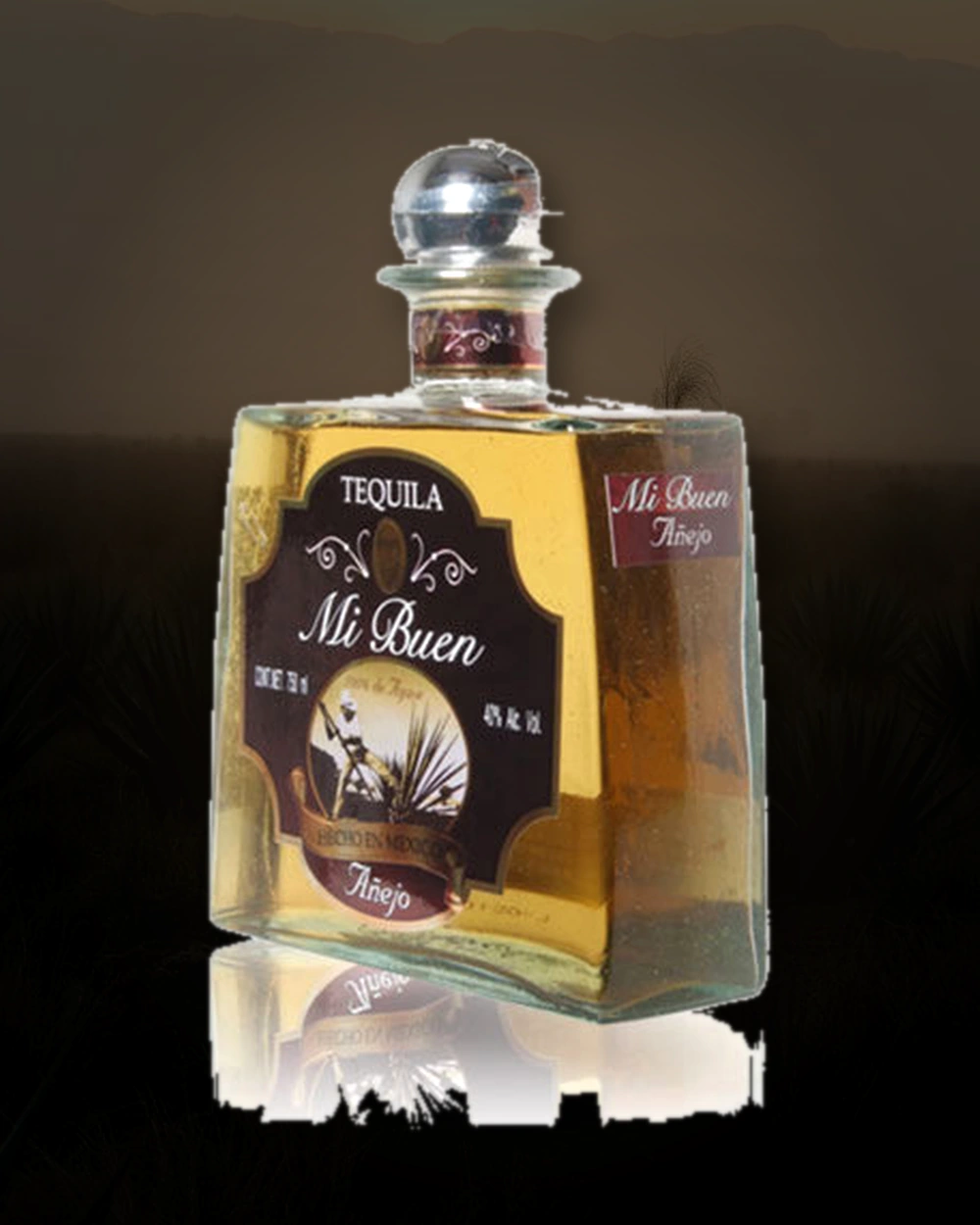 Mi Buen Añejo bottle