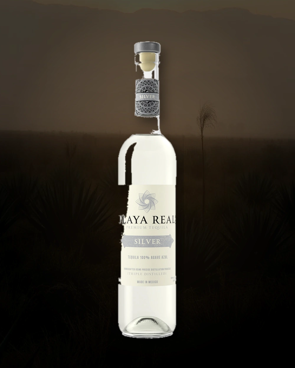 Playa Real Silver bottle