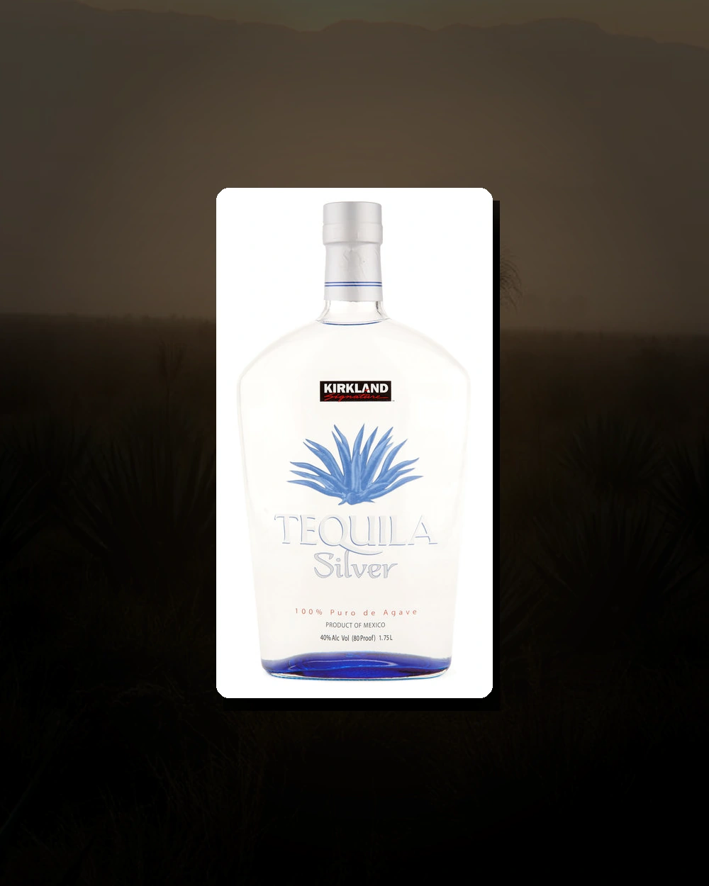 Kirkland Signature Silver bottle