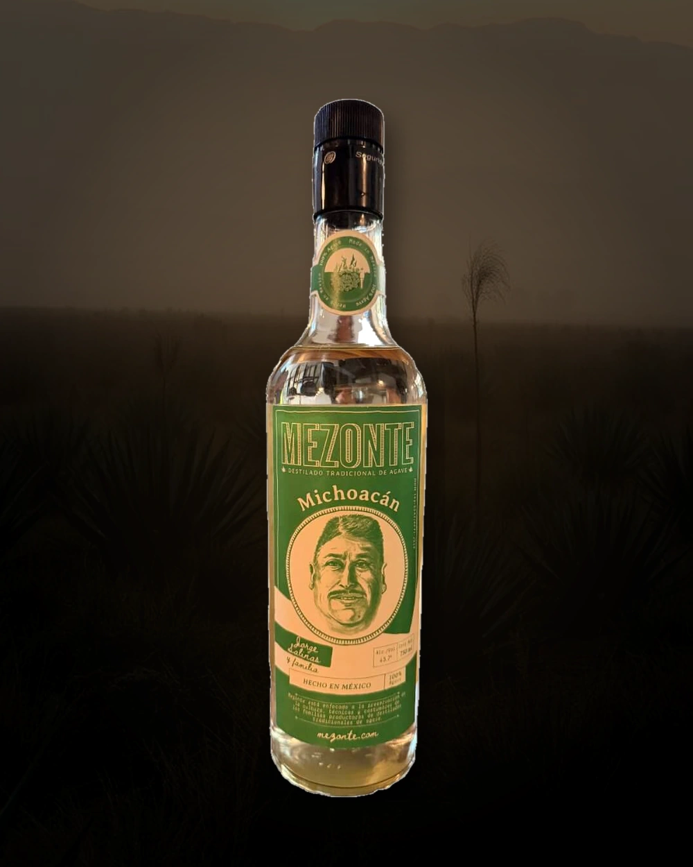 Mezonte Alto – Jorge Salinas