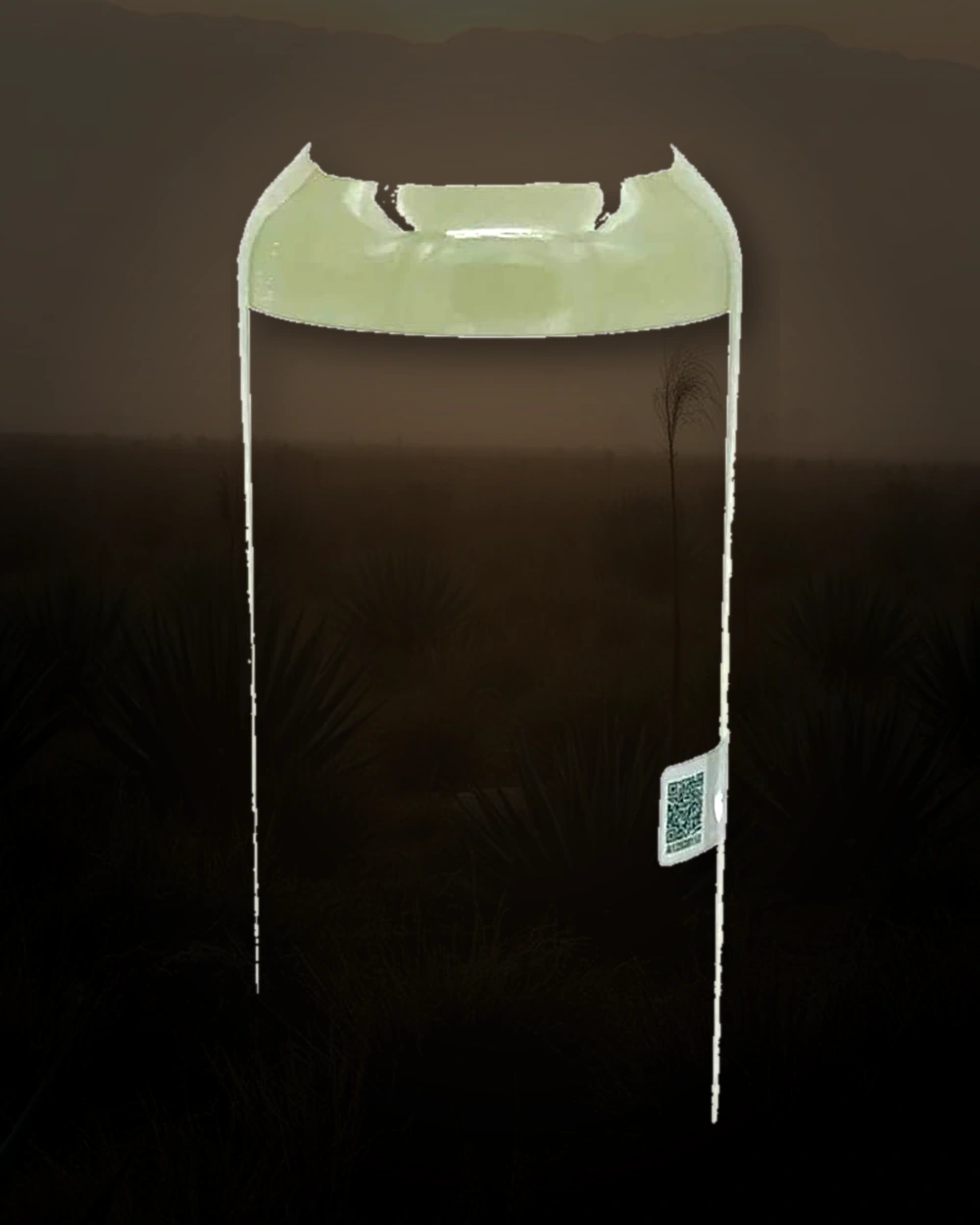 Banhez Espadin & Barril bottle