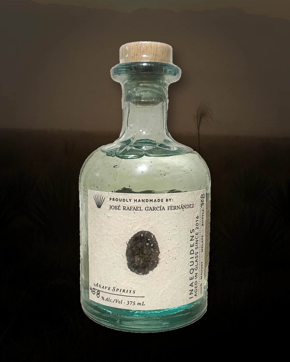 Maguey Melate Inaequidens – Jose Rafael