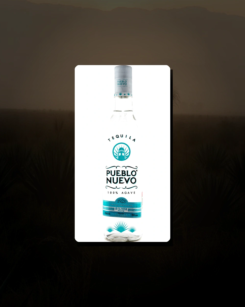 Pueblo Nuevo Silver Plata bottle