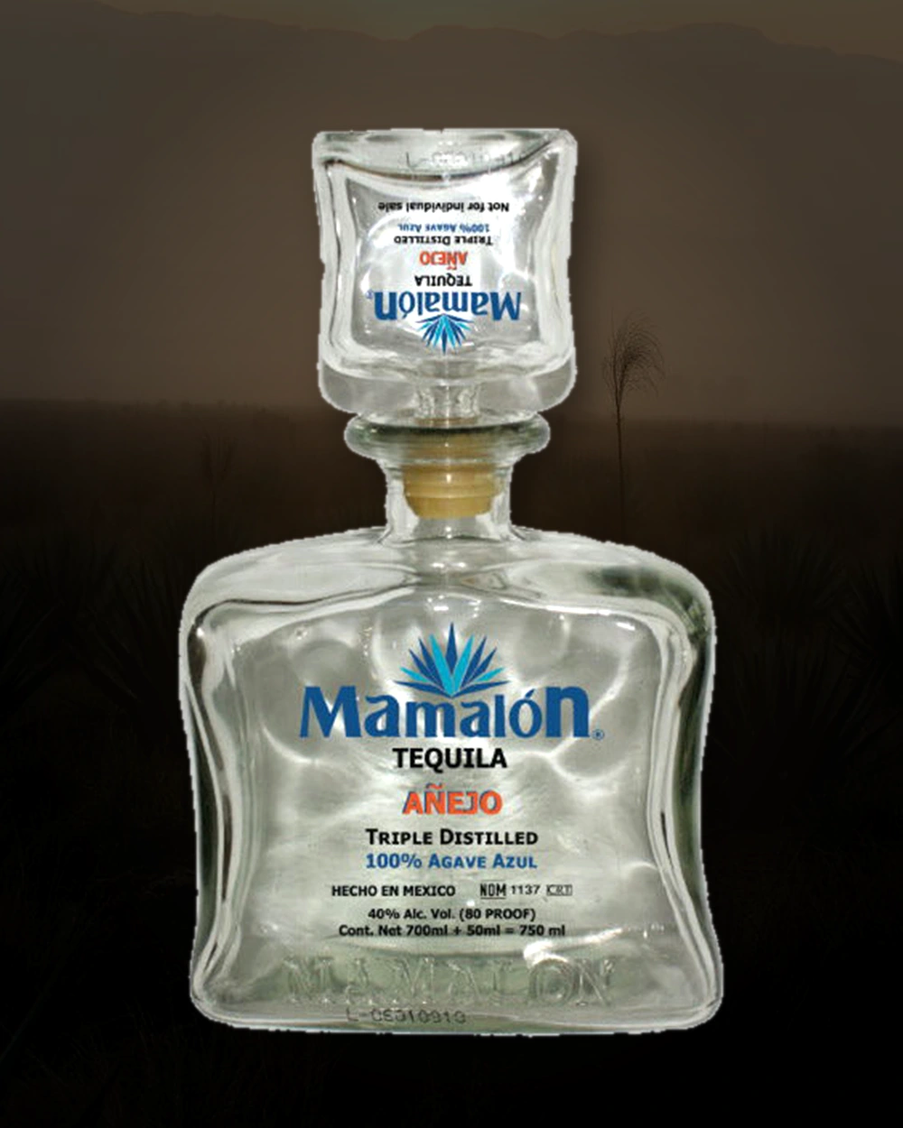 Mamalón Añejo bottle