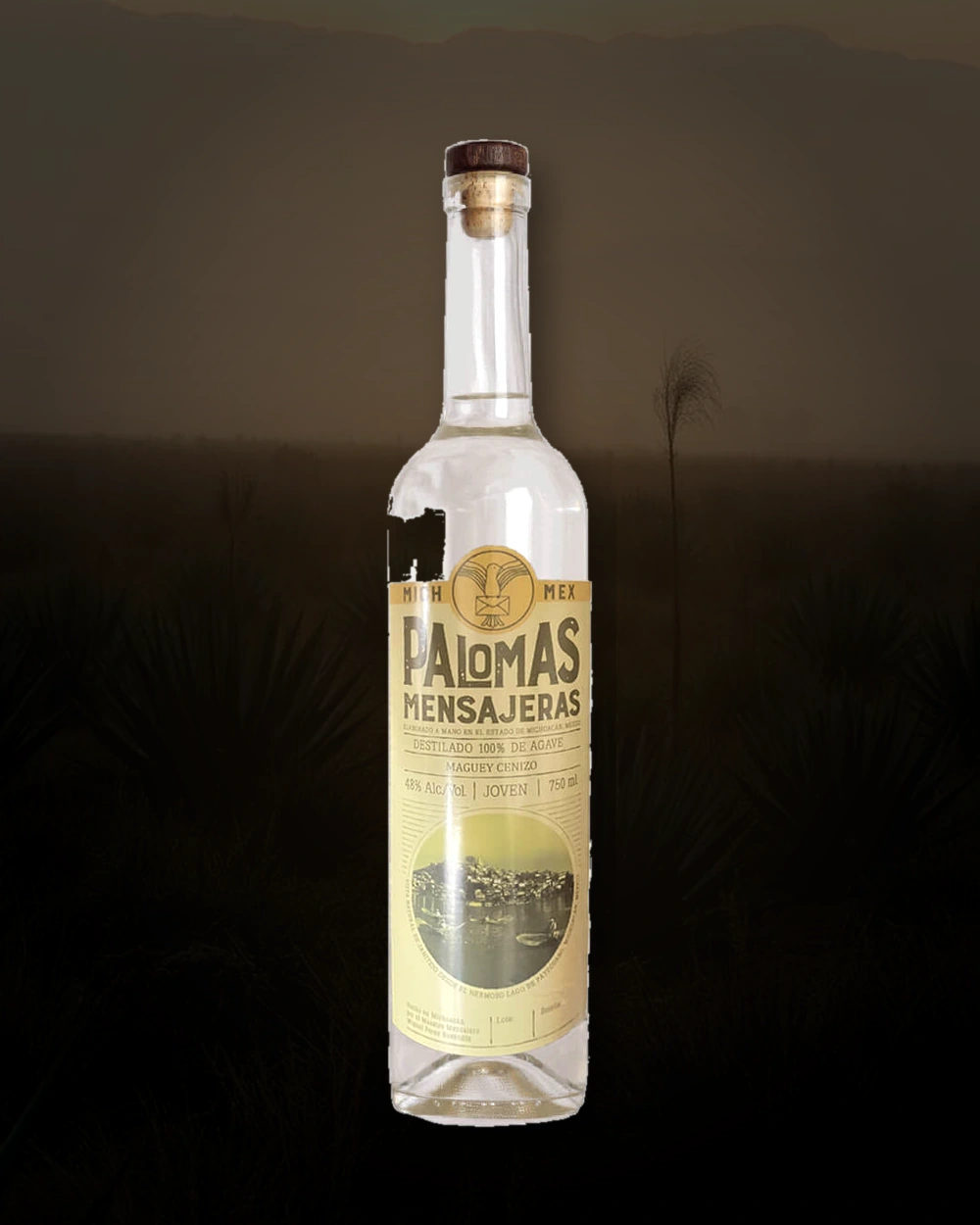 Palomas Mensajeras Cenizo