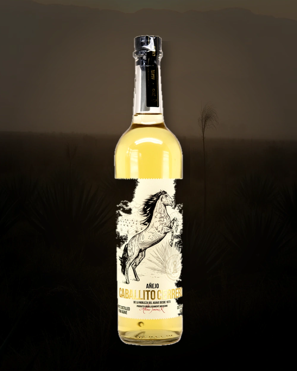 El Caballito Cerrero Añejo 9 Años (44%) bottle